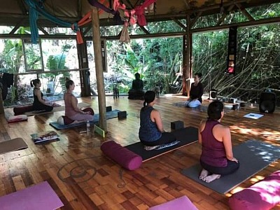 Hohm yoga studio jungle surrounds glass walls breathe meditate