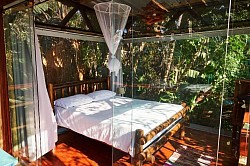 Glass treehouse ensuite room accommodation yoga retreat