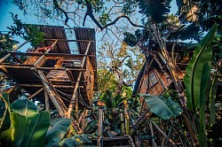 Cabin treehouses